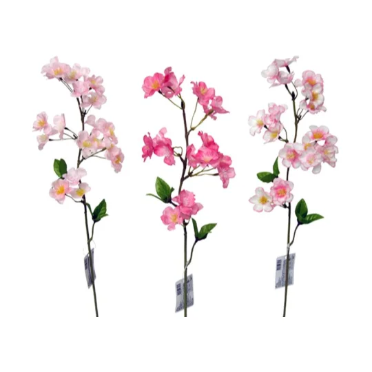 - Cat stress soothing sprayDouble Flowering Sakura