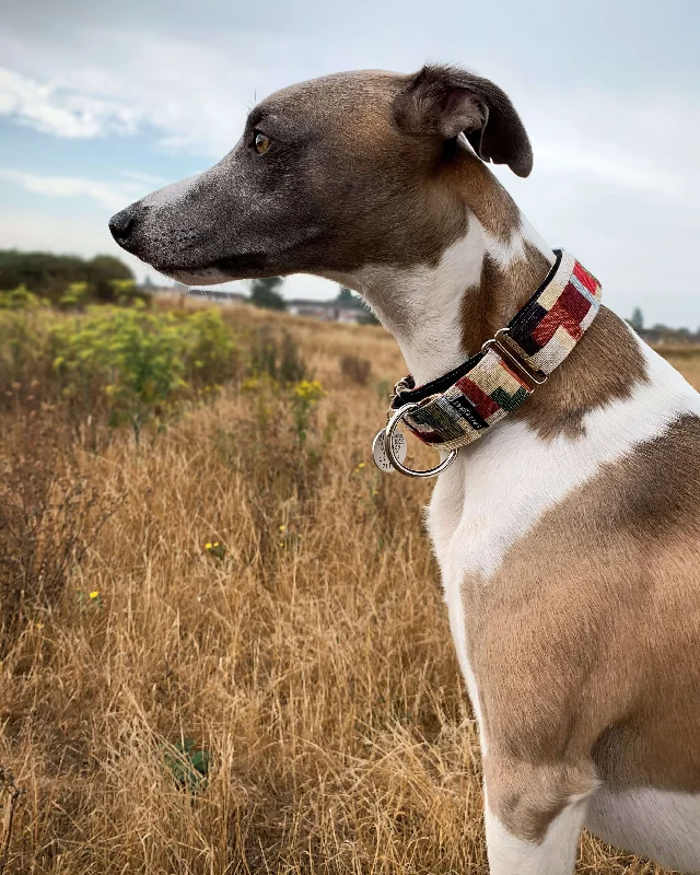  -Explosion-proof leash FOR LARGE dogsTHE ORLA