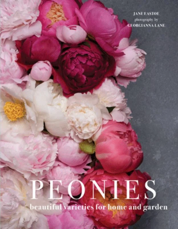 - ​​Pet toys under    yuanPeonies
