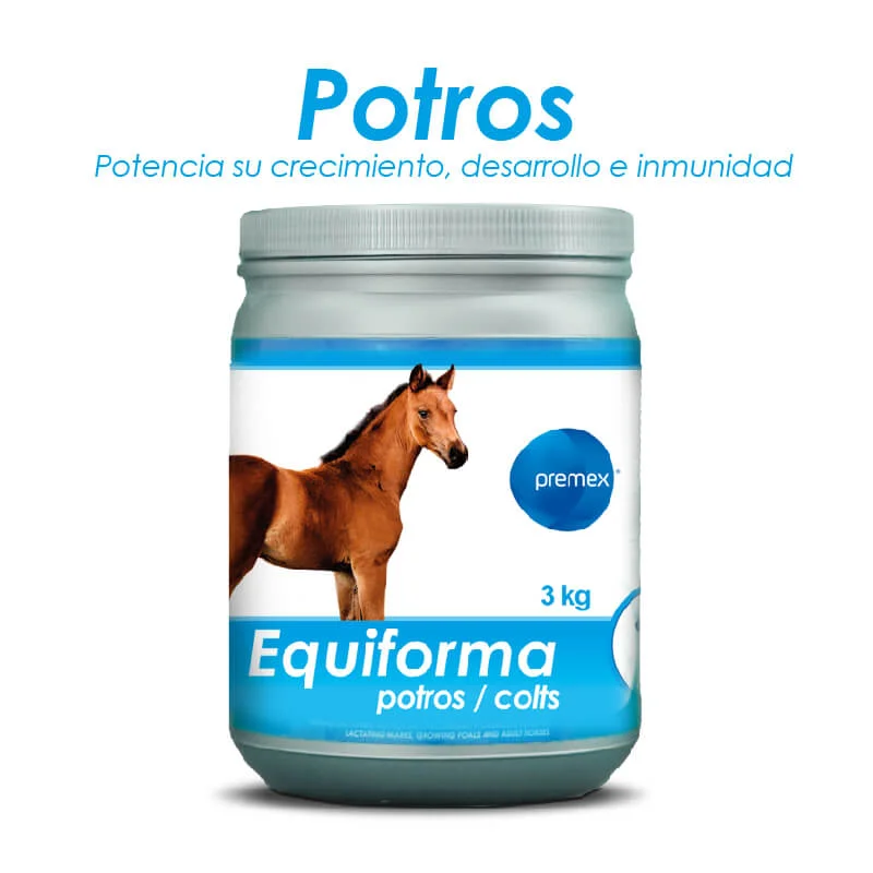 - Car dog seat beltEquiforma Potros 3 Kilos Equino