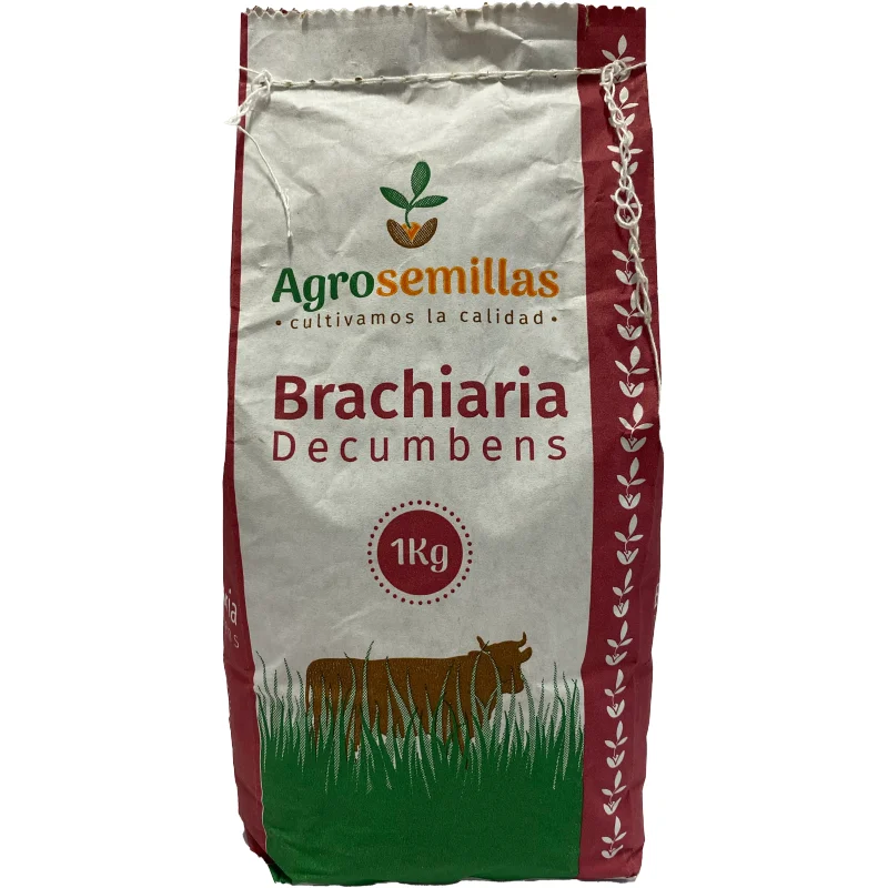- Car dog seat beltSemilla De Pasto Brachiara Decumbens x 1 Kg