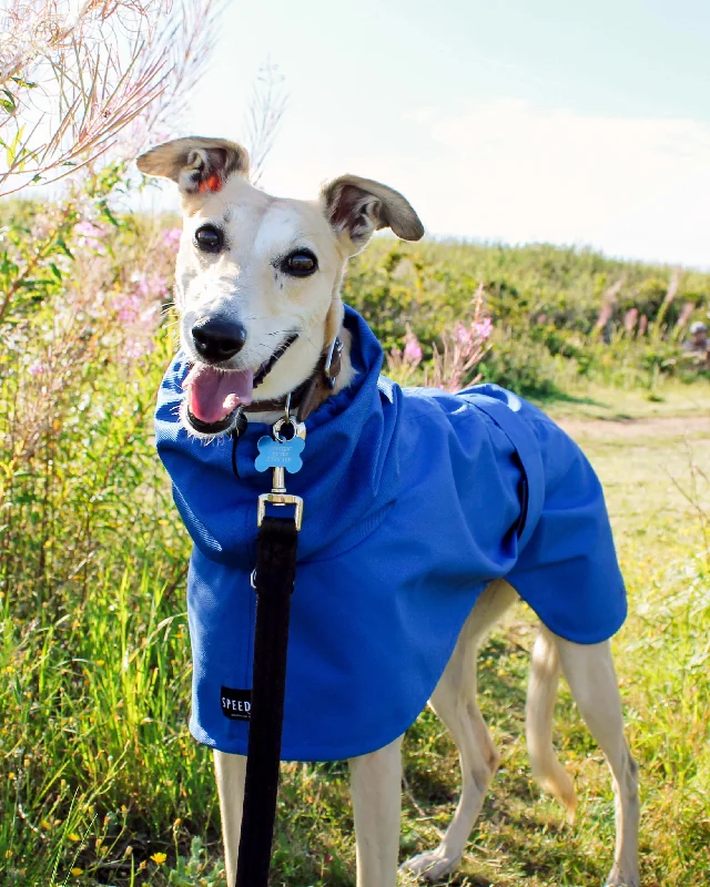  -Non-contact cat thermometerTHE BLUE Raincoat - Greyhound Size