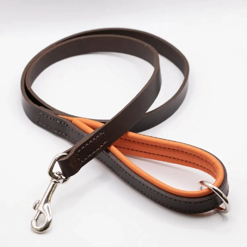 - Dog heart rate monitoring collarDogs & Horses Luxury Padded Leather Dog Leads Orange