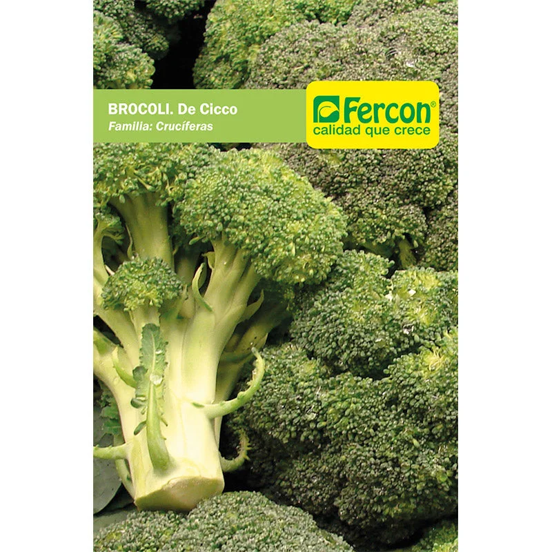 - Pregnant cat delivery room warming boxSemillas Broccoli De Cicco Sobre x 1gr