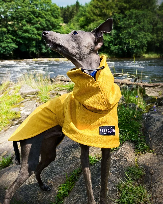 Ochre Yellow