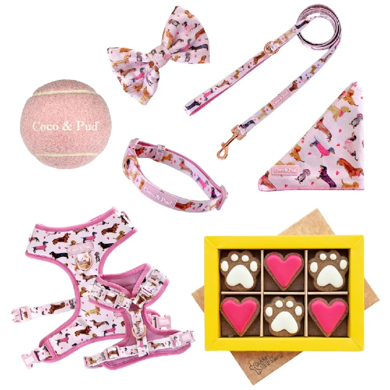 - Pregnant cat delivery room warming boxDoxie Rose Mini Love Dog Hamper