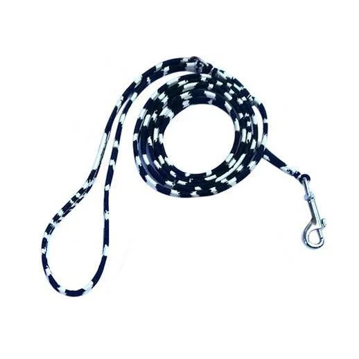  . **Pet collar with custom engraving**Ultrasuede Dog Leash Zebra