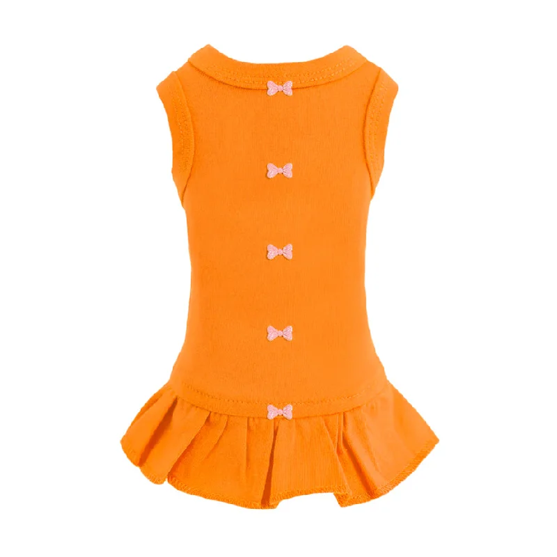 Focus on health and safety:Candy Dog Dress Collection: Orange