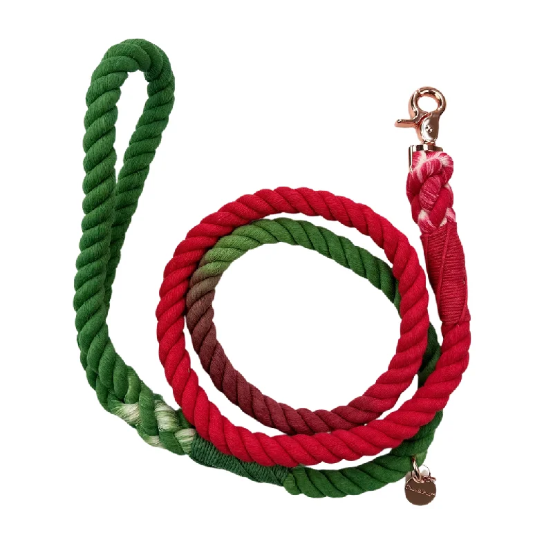 - Postoperative pet anti-licking Elizabethan collarLimited Edition Red/Green Rope Dog Lead/ Leash - Rose Gold