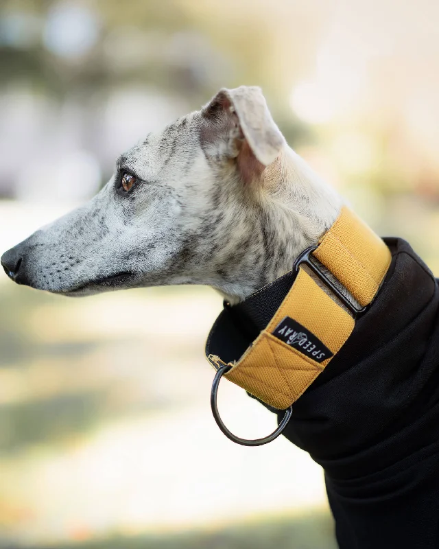 - Pet monitor with cameraTHE ROXY Martingale Collars