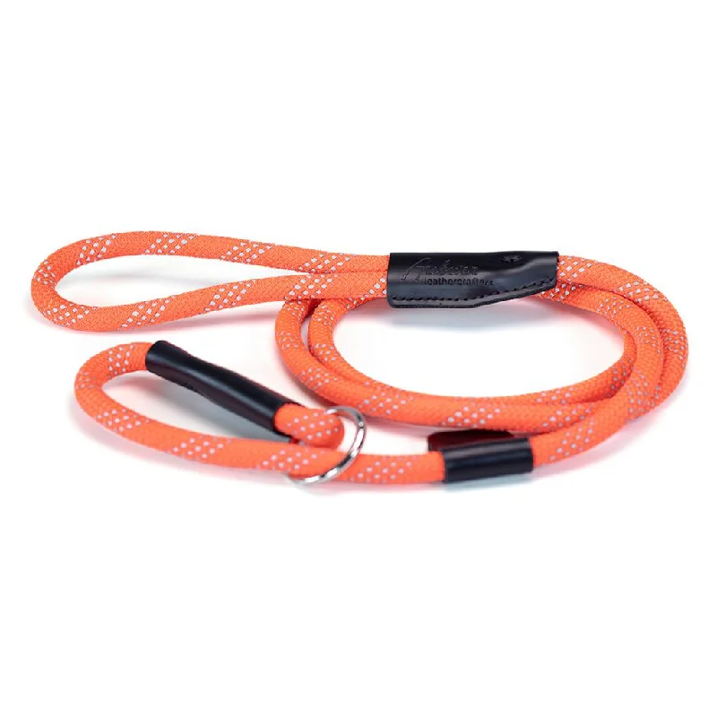  . **Cat nest winter warmth**Reflective Slip Rope Dog Leash Orange