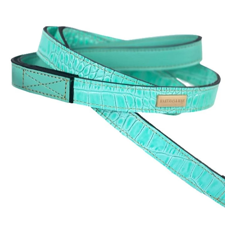  . **Cat comb to remove hair balls**Cayman Collection Dog Leash Turquoise