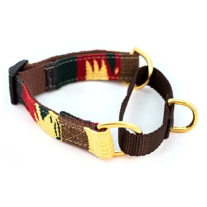### Cat accessoriesTraditional Earth Martingale Dog Collar