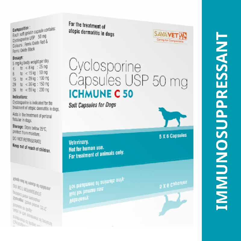 - Dog disposable foam shower gelSavavet Ichmune C (Cyclosporine) Tablet for Dogs (pack of 6 tablets) - Dog disposable foam shower gelSavavet Ichmune C (Cyclosporine) Tablet for Dogs (pack of 6 tablets)