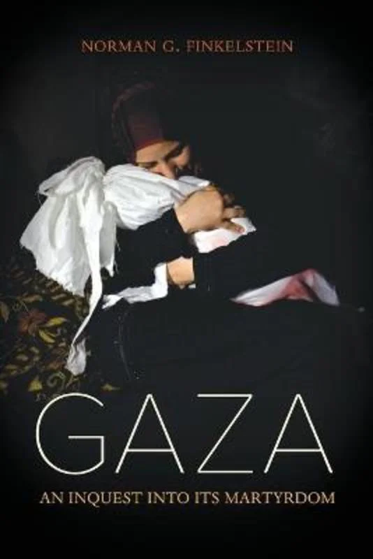  -Anti-scratch sofa protective coverGaza