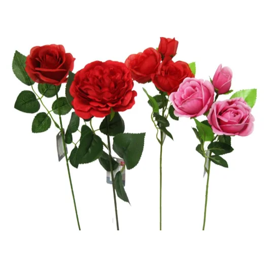 - Dog disposable foam shower gelRose Flower Assortment - Basic - Red
