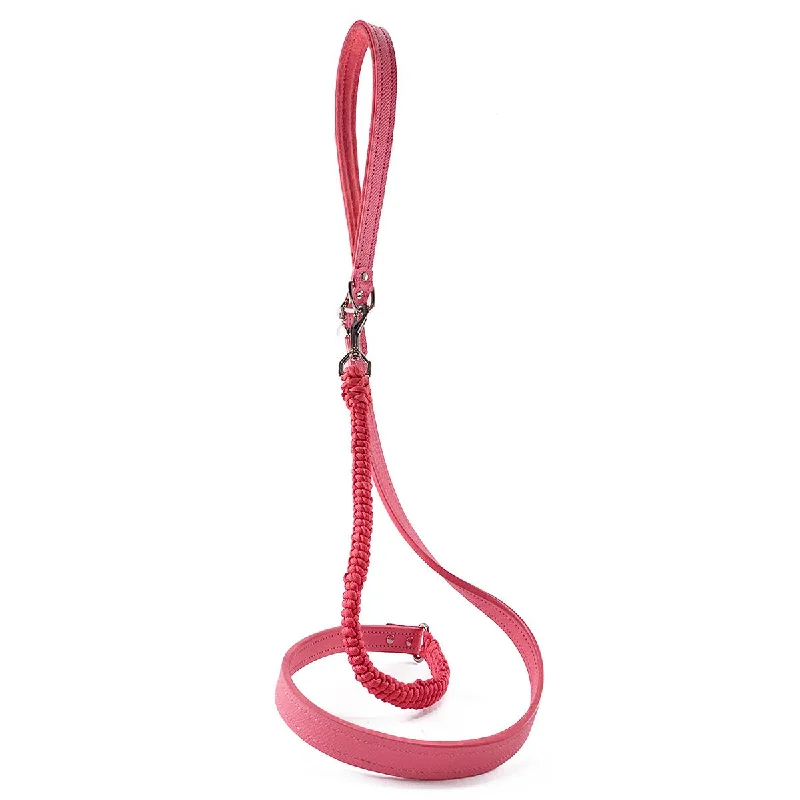 ### Cat accessoriesSpring Leather And Macrame Dog Leash Strawberry Ice