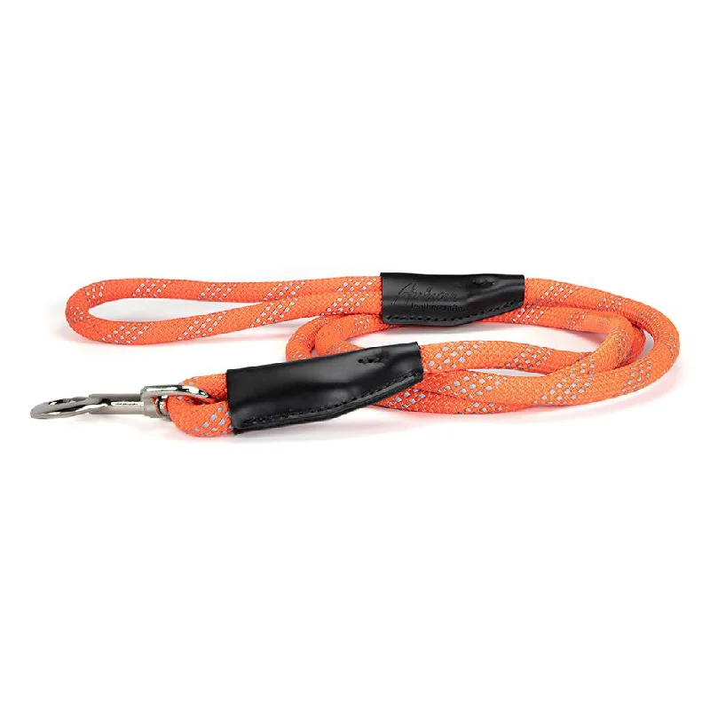  . **Cat scratching board corrugated paper**Reflective Rope Dog Leash Orange