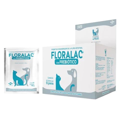 - Dog disposable foam shower gelFloralac x 10 g