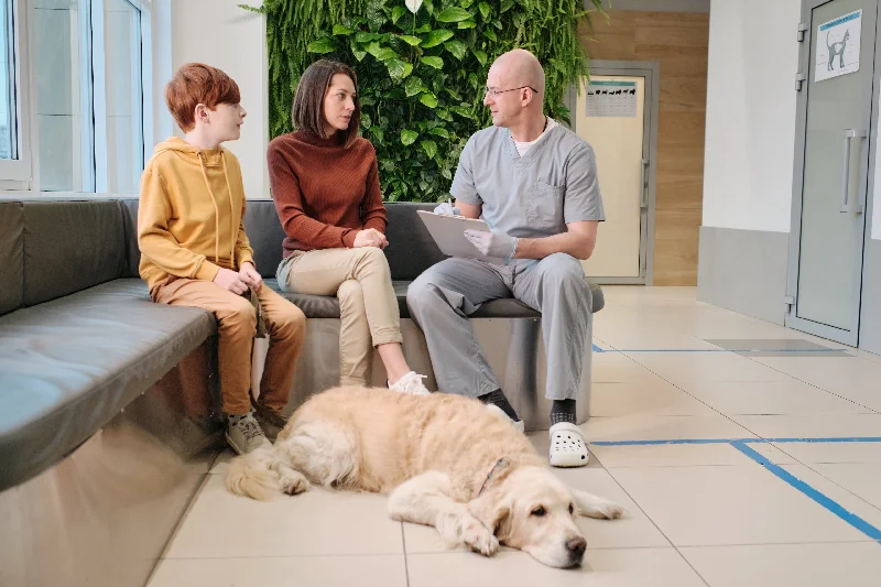  -Non-contact cat thermometerPetcare vet Visits