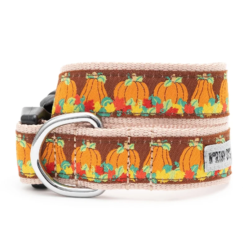   . **Dog bathing brush massage**Pumpkin Patch Dog Collar