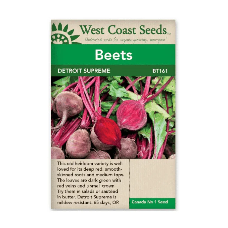 - Teething and chewing toys for puppiesWest Coast Seeds Detroit Supreme Beet Seeds - 260 Seeds - Teething and chewing toys for puppiesWest Coast Seeds Detroit Supreme Beet Seeds - 260 Seeds