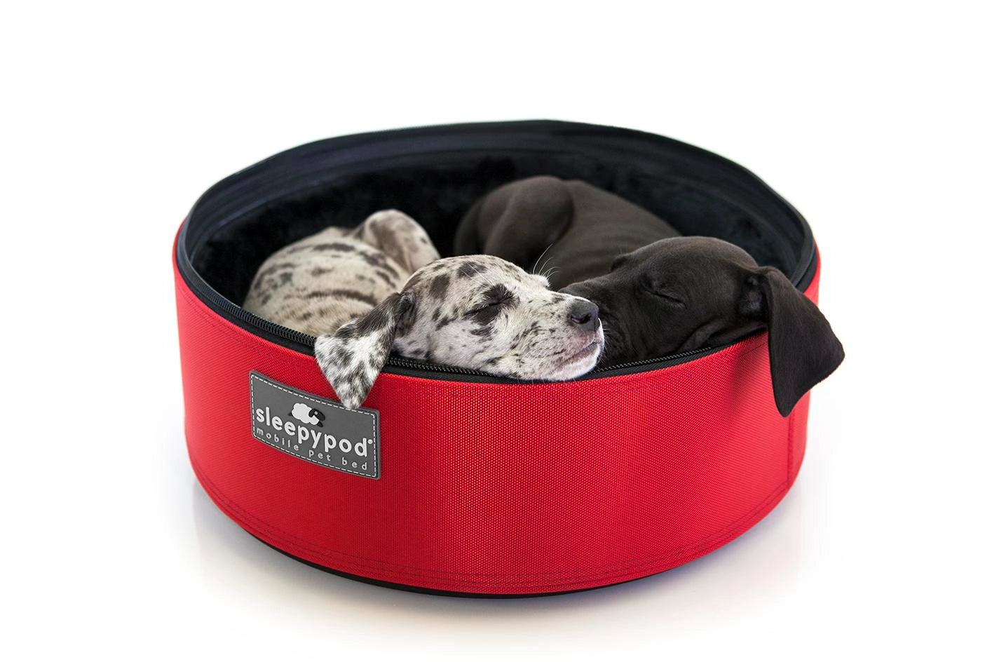  -Splash-proof food bowl AND Anti-choking slow food bowlSleepypod Mobile Pet Bed