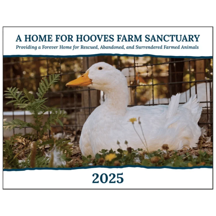 ---CLEARANCE - A Home For Hooves 2025 Calendar