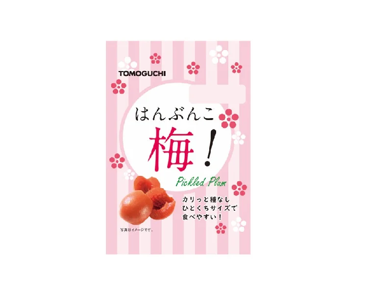 - Cat anti-jump window safety netPickled Plum 34g