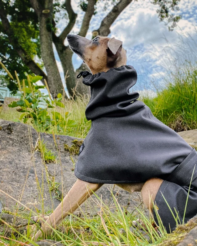 - Solid wood cat climbing frame customizedTHE THEO Raincoat - Iggy Size