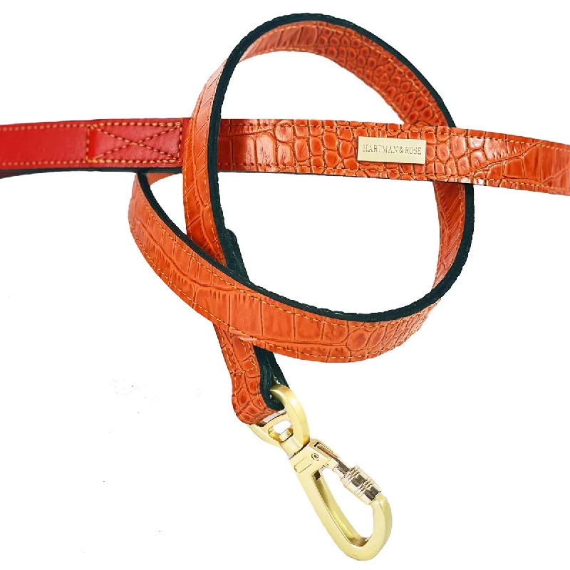  . **Cat nail clippers safety model**Cayman Collection Dog Leash Tangerine