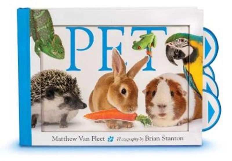 - Parrot climbing and standing wooden framePet