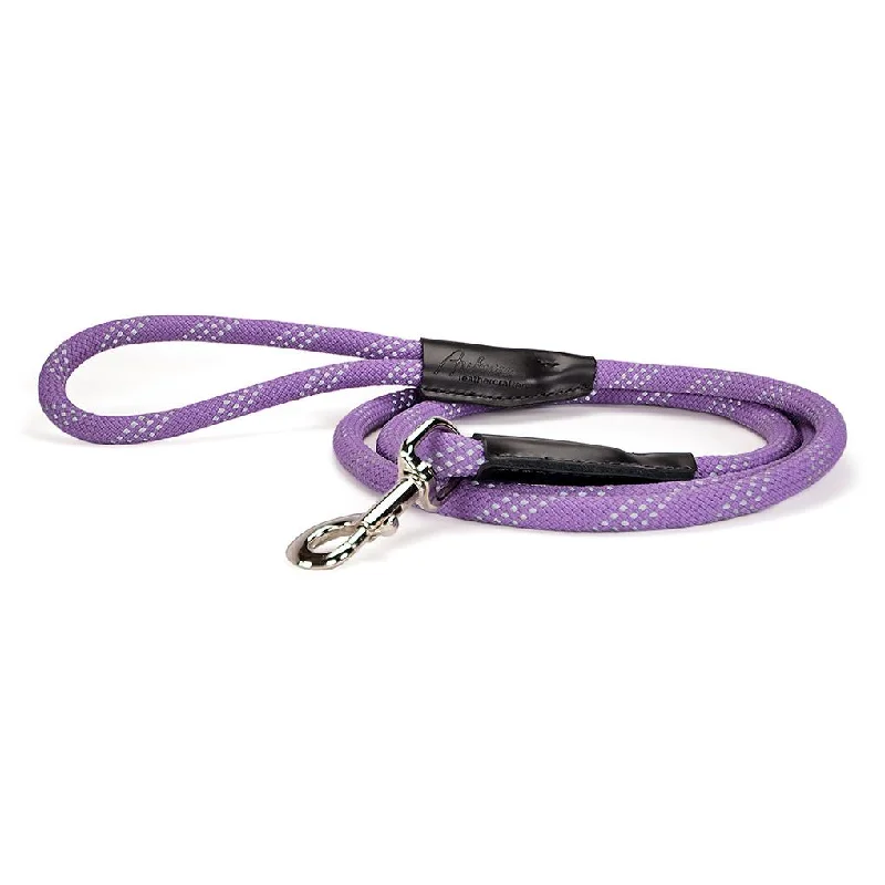  . **Cat backpack space capsule**Reflective Rope Dog Leash Lavender