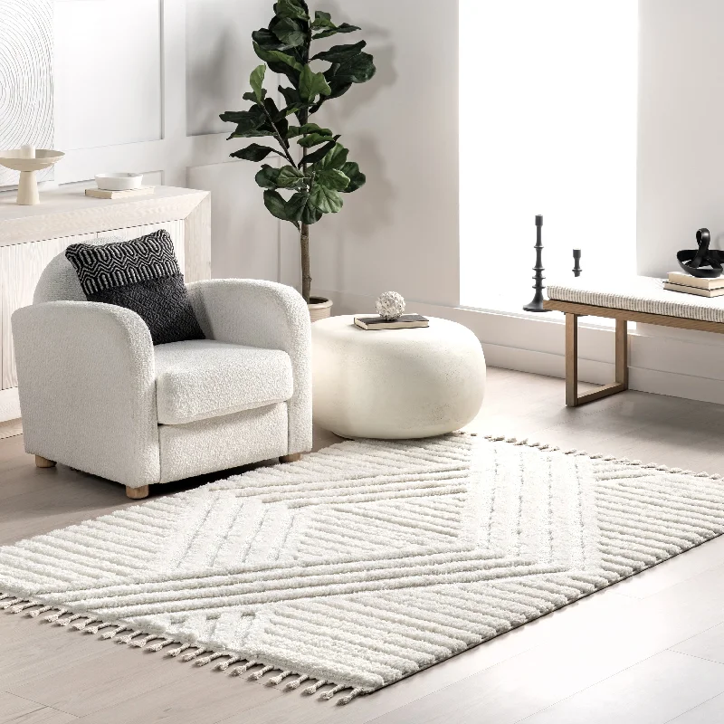 - Pet diabetes prescription foodNuloom Briella High-Low Geometric Shag Area Rug