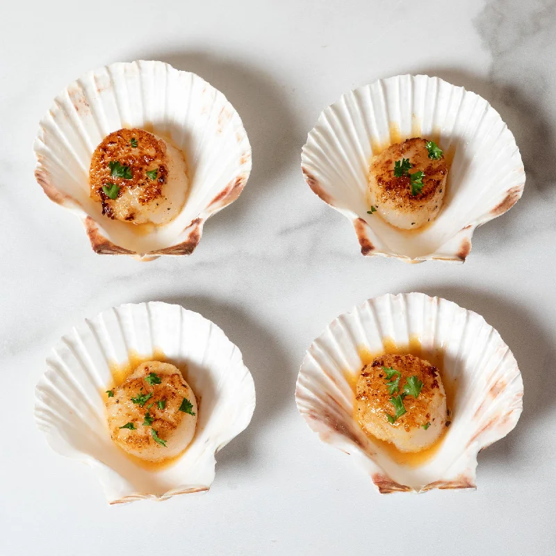 - ​​Pet toys under    yuanNantucket Seafood Natural Canape Shells - Set of 4