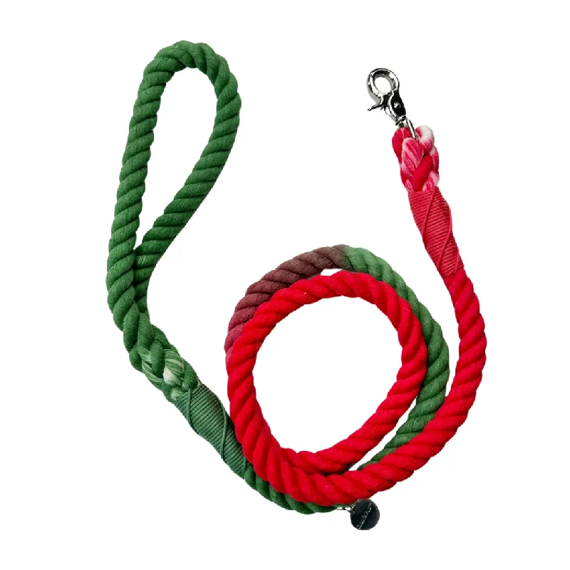 - Dog heart rate monitoring collarRed/Green Rope Dog Lead/ Leash - Silver