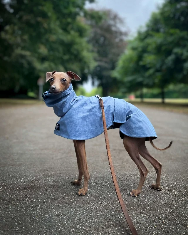 - Winter dog thick down jacketTHE BLUE Raincoat - Iggy Size